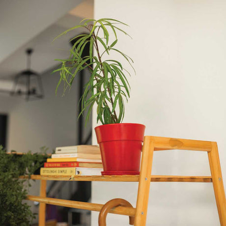 plastic flower pot with tray